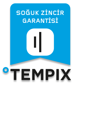 tempix-slide-4